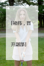 褚伟，晋升副部
