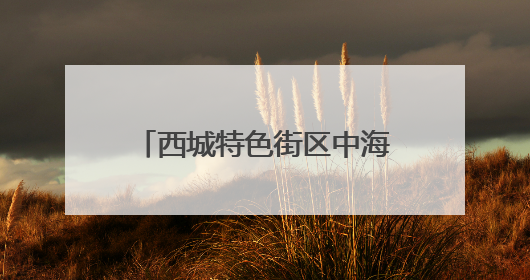 西城特色街区中海大吉巷正式开业，打卡市民真不少