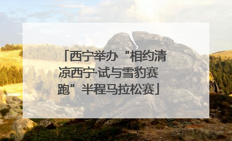 西宁举办“相约清凉西宁·试与雪豹赛跑”半程马拉松赛