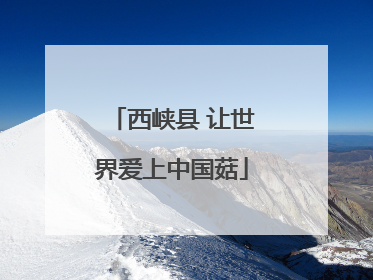 西峡县 让世界爱上中国菇