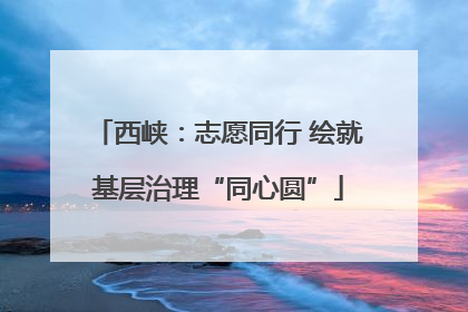 西峡：志愿同行 绘就基层治理“同心圆”