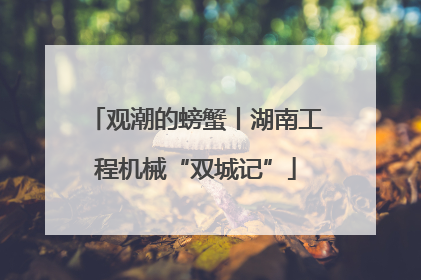 观潮的螃蟹丨湖南工程机械“双城记”