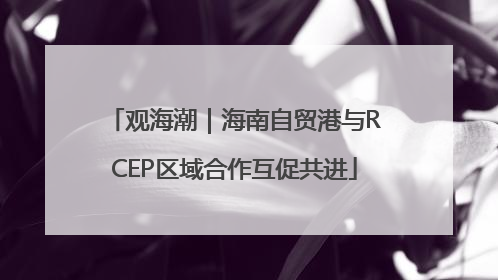观海潮｜海南自贸港与RCEP区域合作互促共进