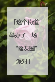这个街道举办了一场“盆友圈”派对