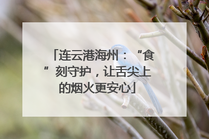 连云港海州：“食”刻守护，让舌尖上的烟火更安心