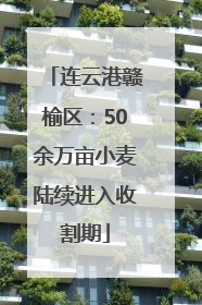 连云港赣榆区：50余万亩小麦陆续进入收割期