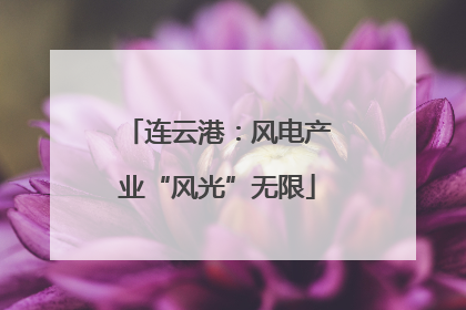 连云港：风电产业“风光”无限