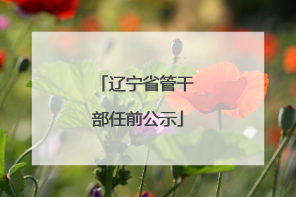 辽宁省管干部任前公示