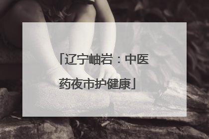 辽宁岫岩：中医药夜市护健康