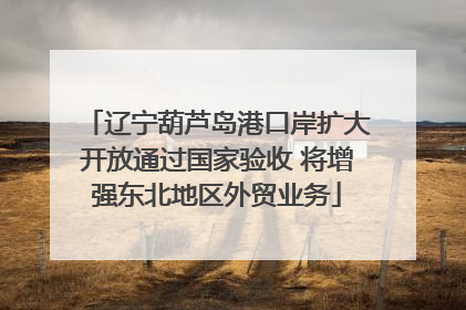 辽宁葫芦岛港口岸扩大开放通过国家验收 将增强东北地区外贸业务