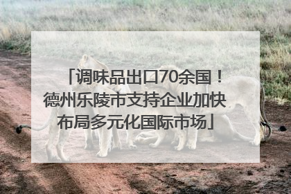 调味品出口70余国！德州乐陵市支持企业加快布局多元化国际市场