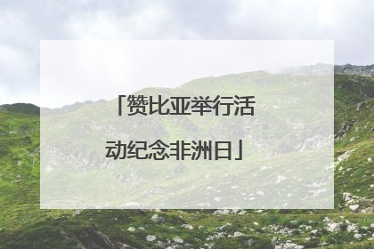 赞比亚举行活动纪念非洲日