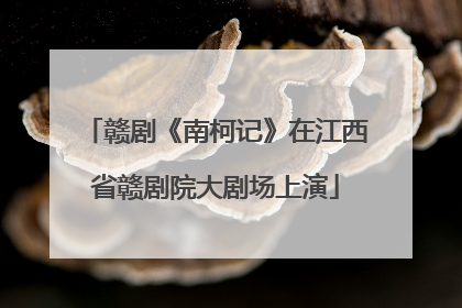 赣剧《南柯记》在江西省赣剧院大剧场上演