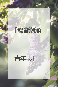 赣鄱潮涌青年志