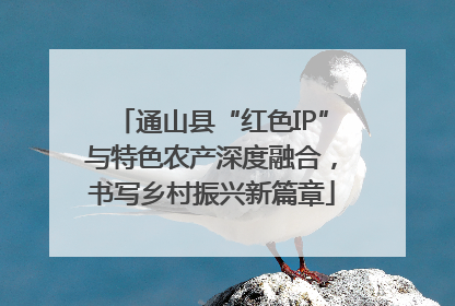 通山县“红色IP”与特色农产深度融合，书写乡村振兴新篇章