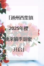 通州西集镇2025年樱桃采摘季甜蜜开启
