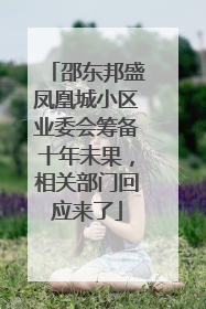 邵东邦盛凤凰城小区业委会筹备十年未果，相关部门回应来了