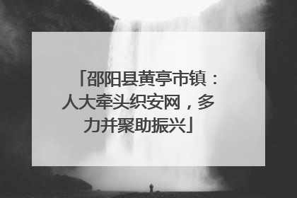 邵阳县黄亭市镇：人大牵头织安网，多力并聚助振兴