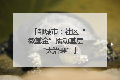 邹城市：社区“微基金”撬动基层“大治理”