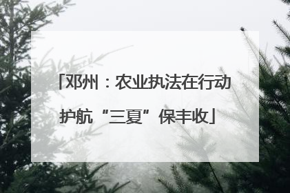 邓州：农业执法在行动 护航“三夏”保丰收