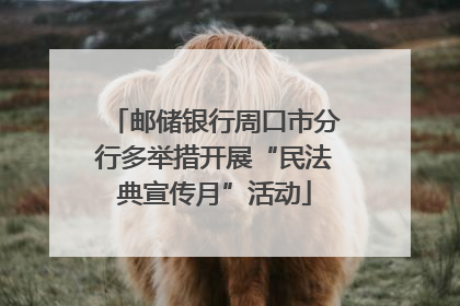 邮储银行周口市分行多举措开展“民法典宣传月”活动