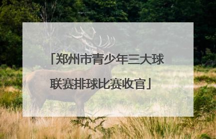 郑州市青少年三大球联赛排球比赛收官