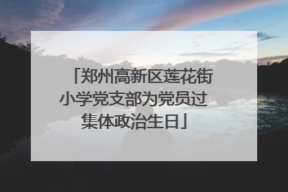 郑州高新区莲花街小学党支部为党员过集体政治生日