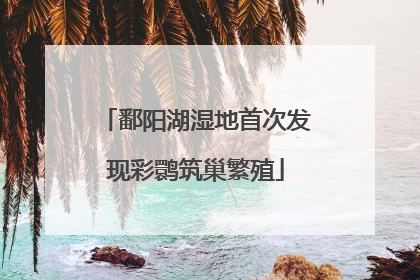 鄱阳湖湿地首次发现彩鹮筑巢繁殖