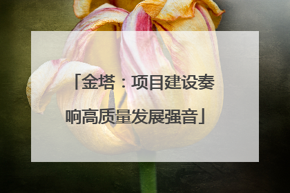 金塔：项目建设奏响高质量发展强音