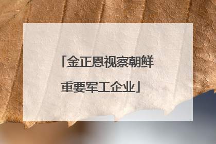 金正恩视察朝鲜重要军工企业