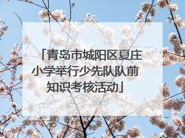 青岛市城阳区夏庄小学举行少先队队前知识考核活动