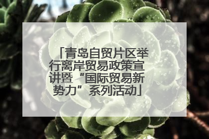 青岛自贸片区举行离岸贸易政策宣讲暨“国际贸易新势力”系列活动