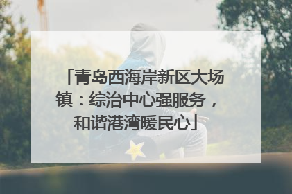 青岛西海岸新区大场镇：综治中心强服务，和谐港湾暖民心