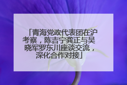 青海党政代表团在沪考察，陈吉宁龚正与吴晓军罗东川座谈交流，深化合作对接
