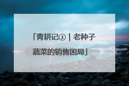 青耕记③｜老种子蔬菜的销售困局