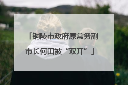 铜陵市政府原常务副市长何田被“双开”