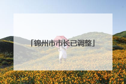 锦州市市长已调整