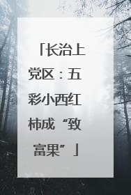 长治上党区：五彩小西红柿成“致富果”