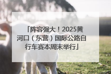 阵容强大！2025黄河口（东营）国际公路自行车赛本周末举行