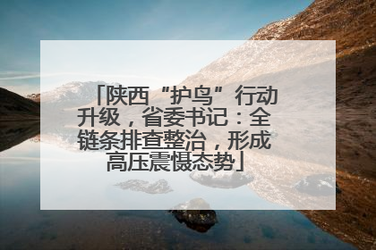 陕西“护鸟”行动升级，省委书记：全链条排查整治，形成高压震慑态势