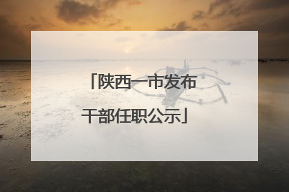 陕西一市发布干部任职公示