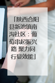 陕西合阳县新池镇南沟社区：葡萄串起振兴路 聚力同行显效能
