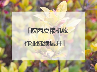 陕西夏粮机收作业陆续展开