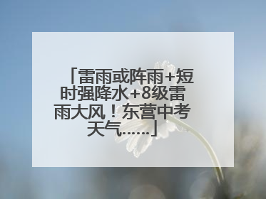 雷雨或阵雨+短时强降水+8级雷雨大风！东营中考天气……
