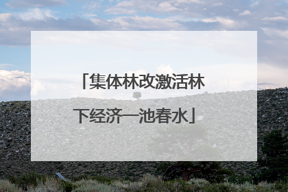 集体林改激活林下经济一池春水