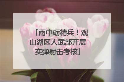 雨中砺精兵！观山湖区人武部开展实弹射击考核