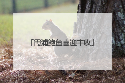 霞浦鲍鱼喜迎丰收
