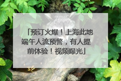 预订火爆！上海此地端午人流预警，有人提前体验！视频曝光