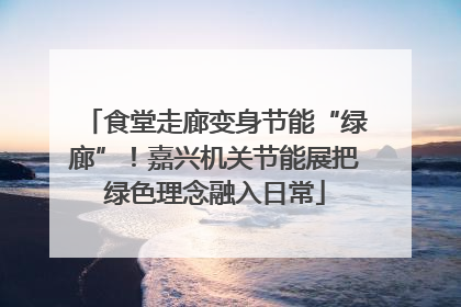食堂走廊变身节能“绿廊”！嘉兴机关节能展把绿色理念融入日常