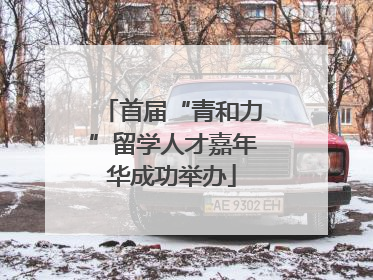 首届“青和力”留学人才嘉年华成功举办